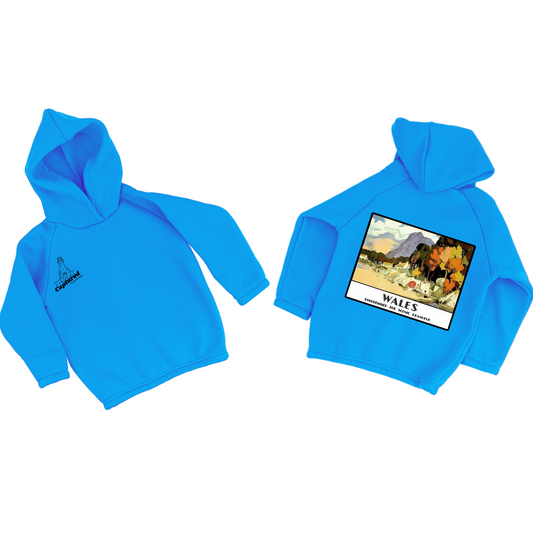 "Wales" Vintage Graphic Design Hoodie