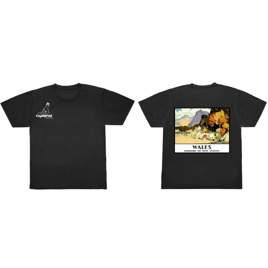 "Wales" Vintage Graphic Design T-Shirt